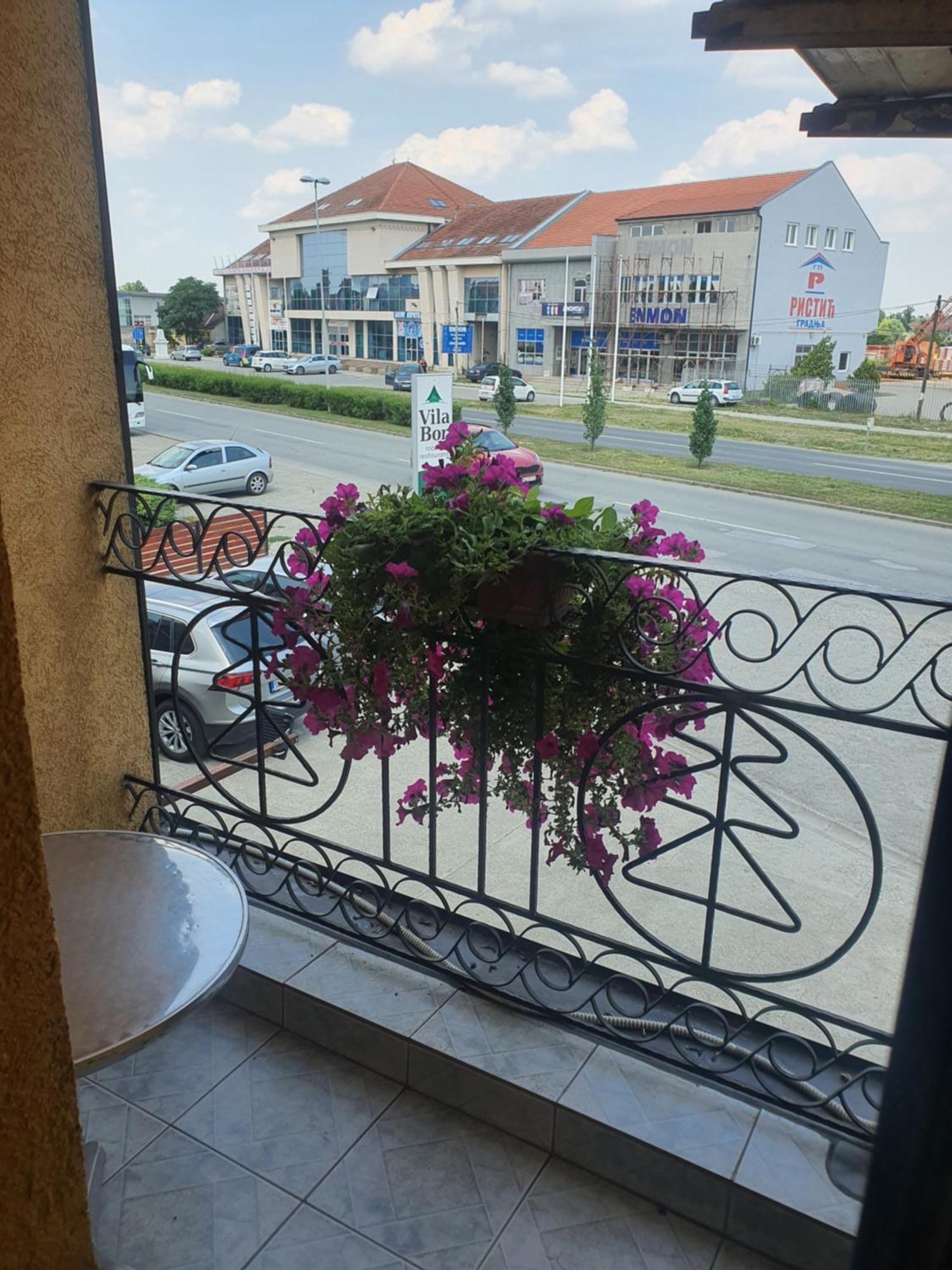 Guest House Vila Bor Novi Sad Eksteriør bilde